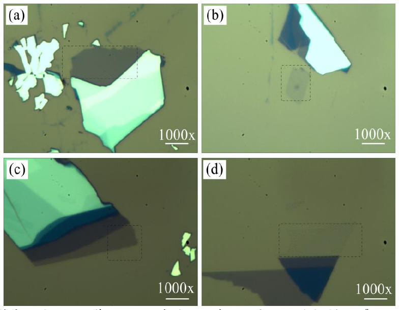 圖 3.3 低溫氧等離子體處理后單層 M o S 2 薄膜的光學(xué)顯微鏡圖。（a）樣品 1 # 的光鏡圖，（b）樣 品 2 # 處理 1 0 s 的光鏡圖，（ c）樣品 3 # 處理 2 0 s 的光鏡圖和（ d）樣品 4 # 處理 4 0 s 的光鏡圖。